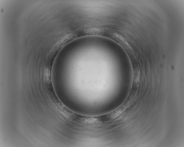 X0000089660669200706211130
