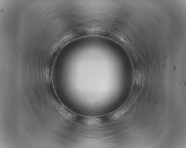 X0000089660670200706211130