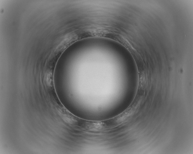 X0000089660671200706211130