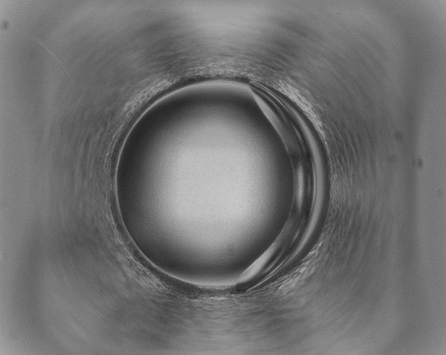 X0000089660673200706211129