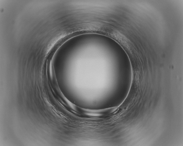 X0000089660676200706211129