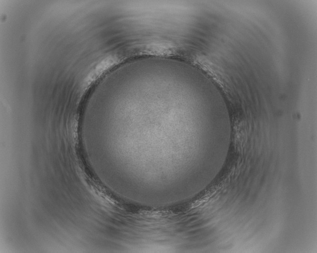 X0000089660679200706211129