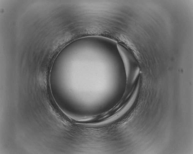X0000089660681200706211129