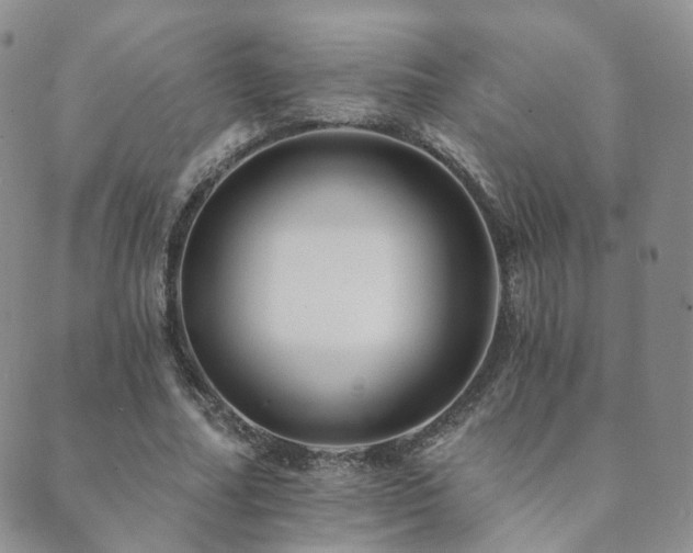 X0000089660682200706211129