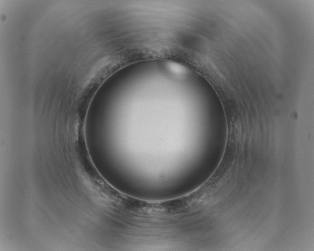 X0000089660694200706211129