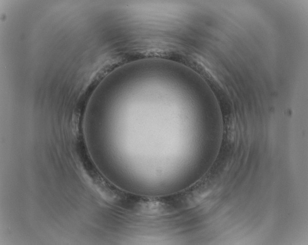X0000089660695200706211129