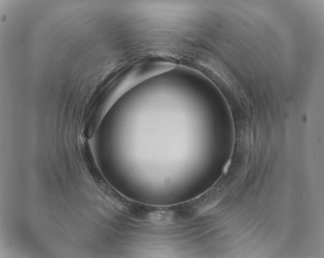 X0000089660700200706211129