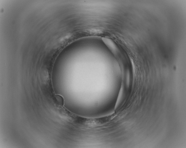 X0000089660704200706211129
