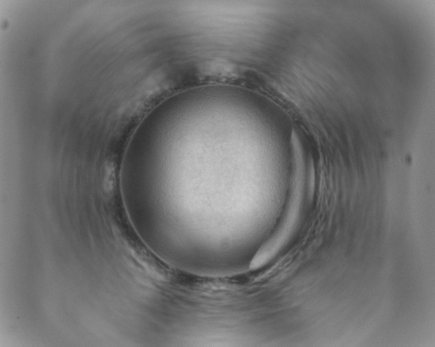 X0000089660708200706211129