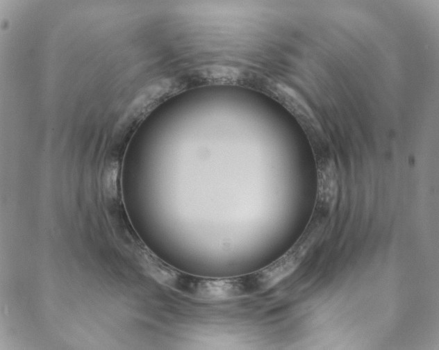 X0000089660717200706211129