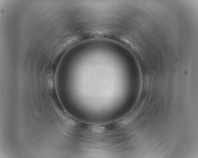 X0000089660719200706211129