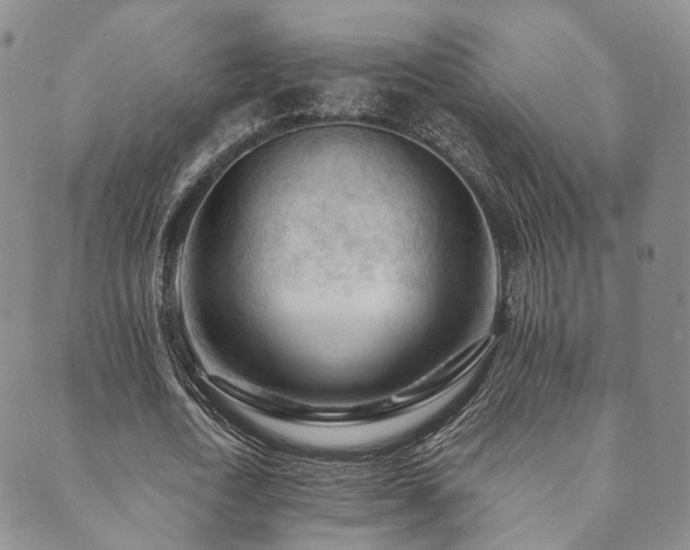 X0000089660722200706211128