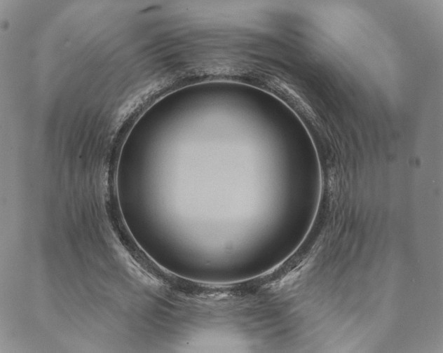 X0000089660725200706211128