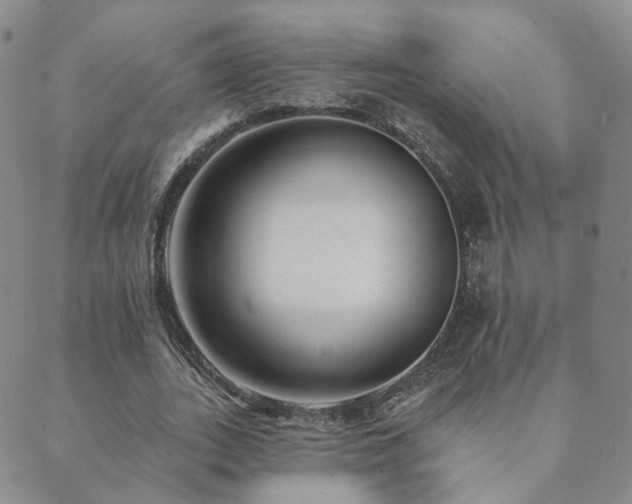 X0000089660727200706211128