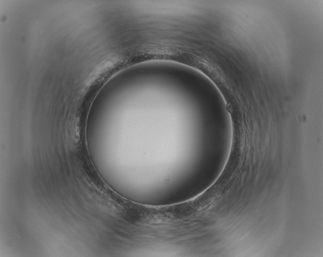 X0000089660731200706211128