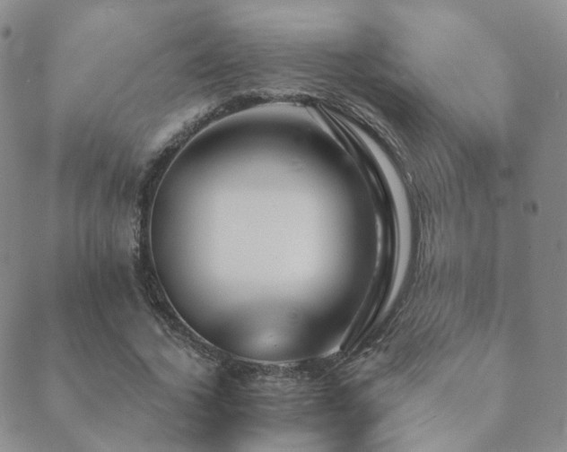 X0000089660732200706211128