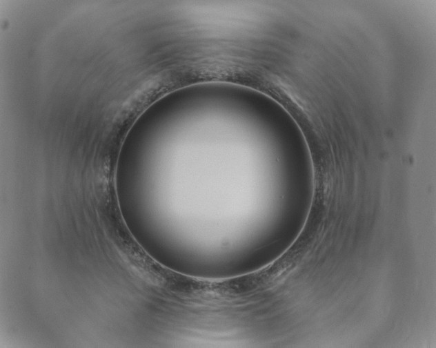 X0000089660737200706211128