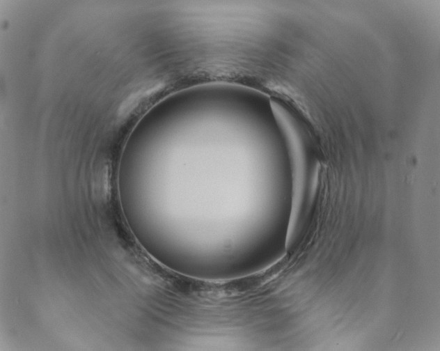 X0000089660740200706211128