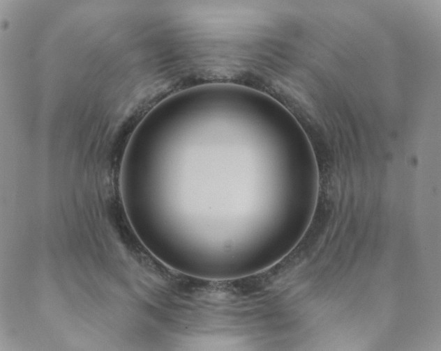 X0000089660743200706211128