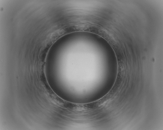 X0000089660745200706211128