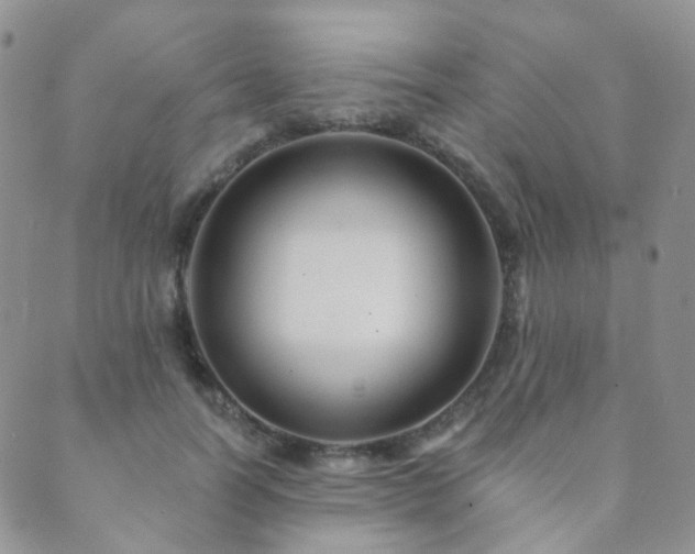 X0000089660746200706211128