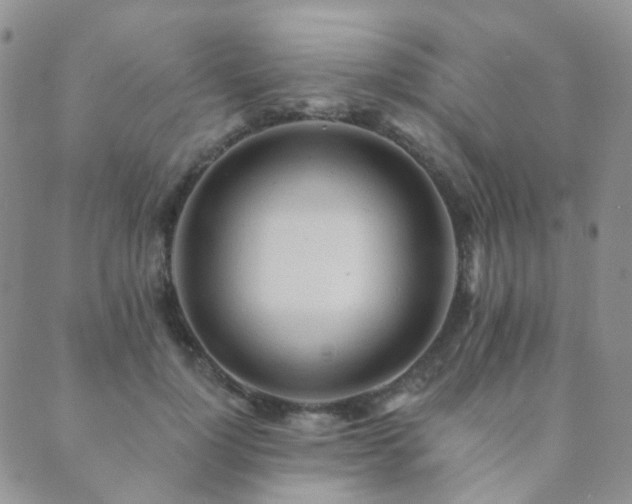 X0000089660748200706211128