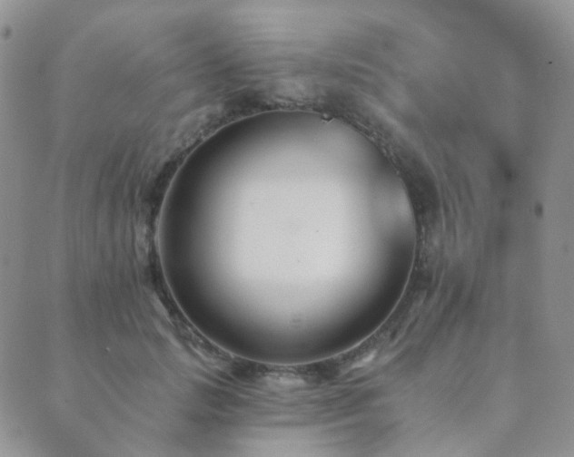 X0000089660749200706211128