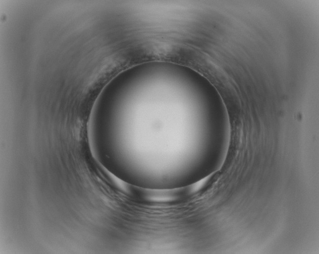 X0000089660750200706211128