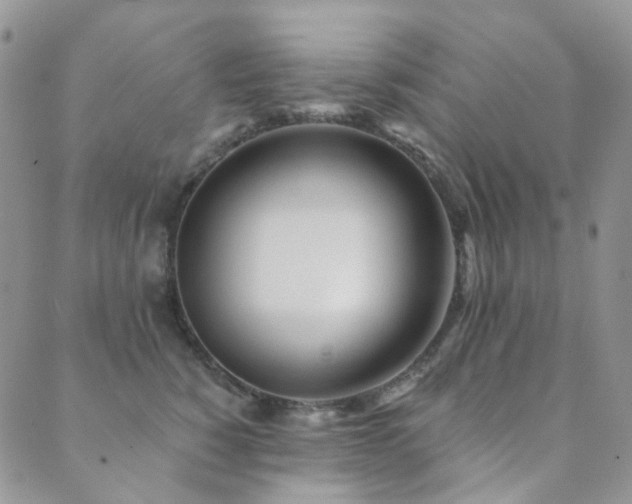 X0000089660760200706211129