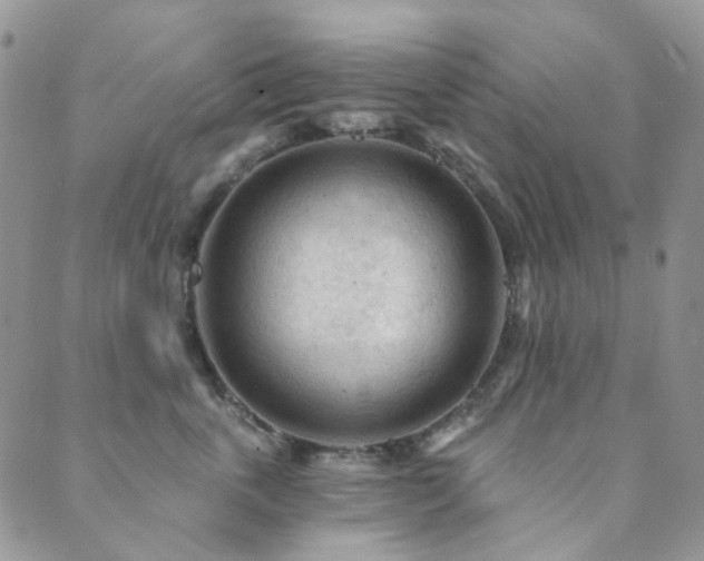 X0000089660763200706211129