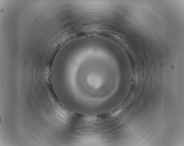 X0000089660767200706211129
