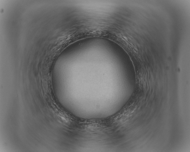 X0000089660769200706211128