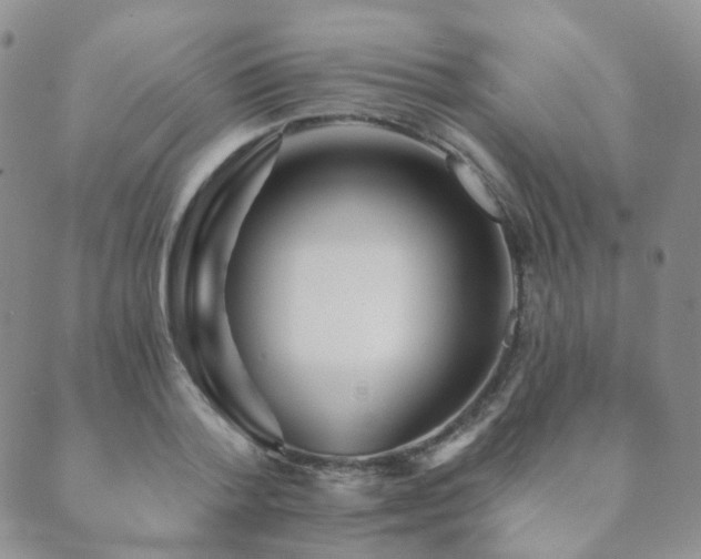 X0000089660788200706211128