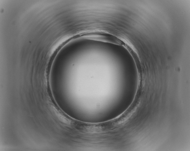 X0000089660789200706211128