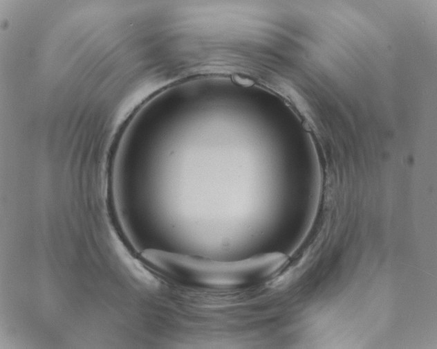 X0000089660795200706211127