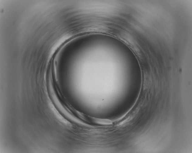 X0000089660796200706211127