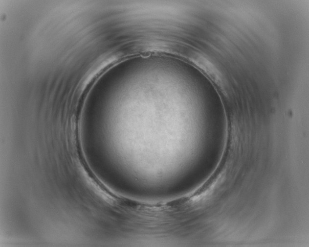 X0000089660798200706211127