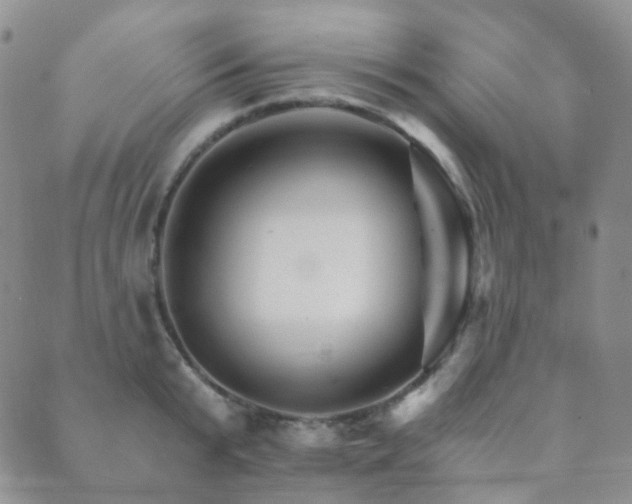 X0000089660799200706211127