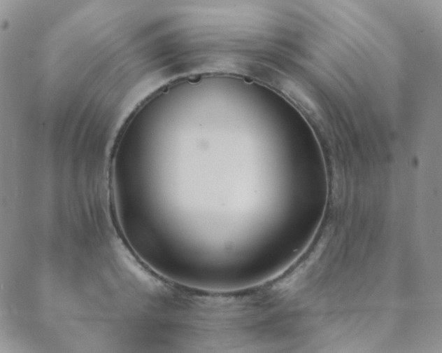 X0000089660800200706211127