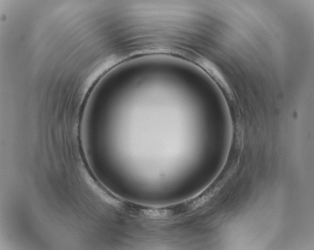 X0000089660805200706211127