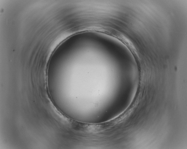 X0000089660808200706211127