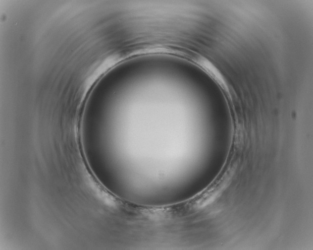 X0000089660813200706211127
