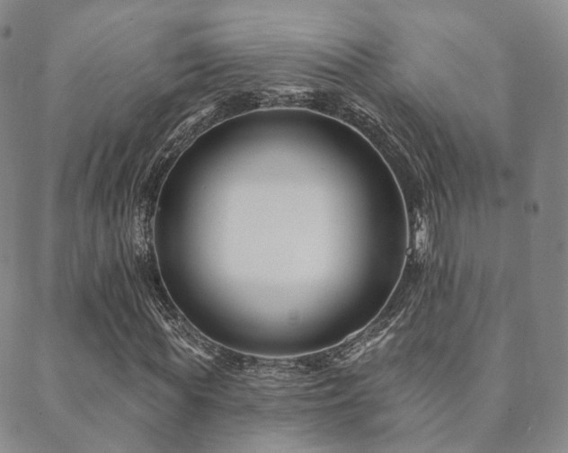 X0000089660819200706211126