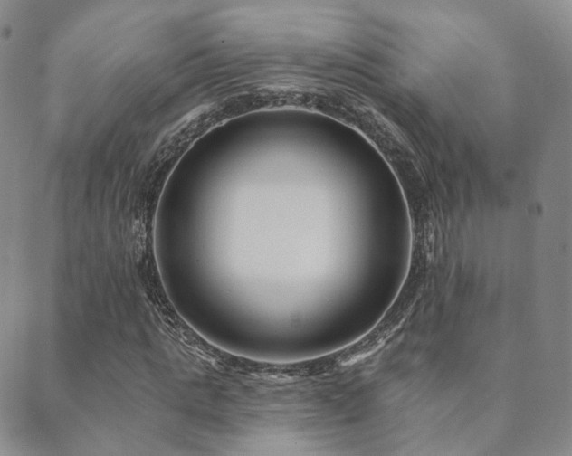 X0000089660821200706211126