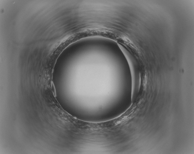 X0000089660822200706211126