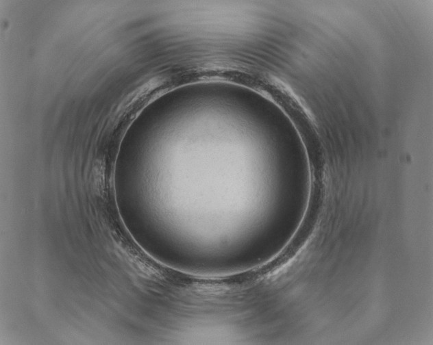 X0000089660825200706211126