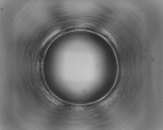 X0000089660827200706211126