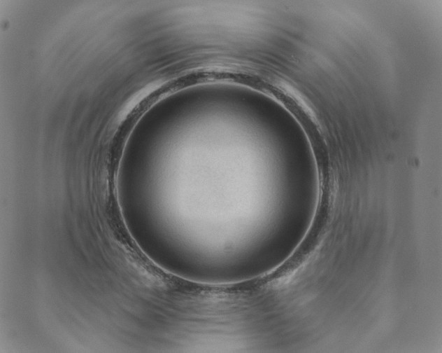 X0000089660829200706211127