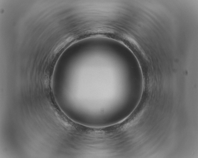 X0000089660833200706211127