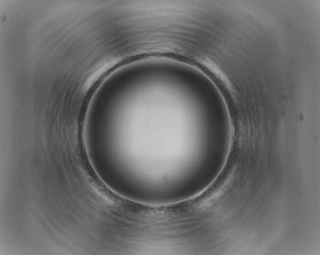 X0000089660834200706211127